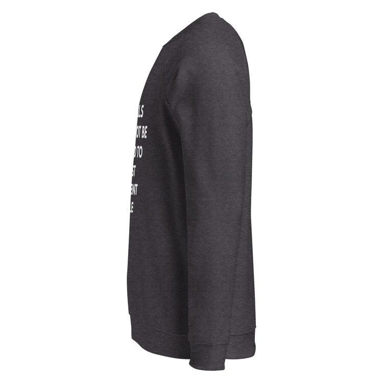 Unisex organic raglan sweatshirt