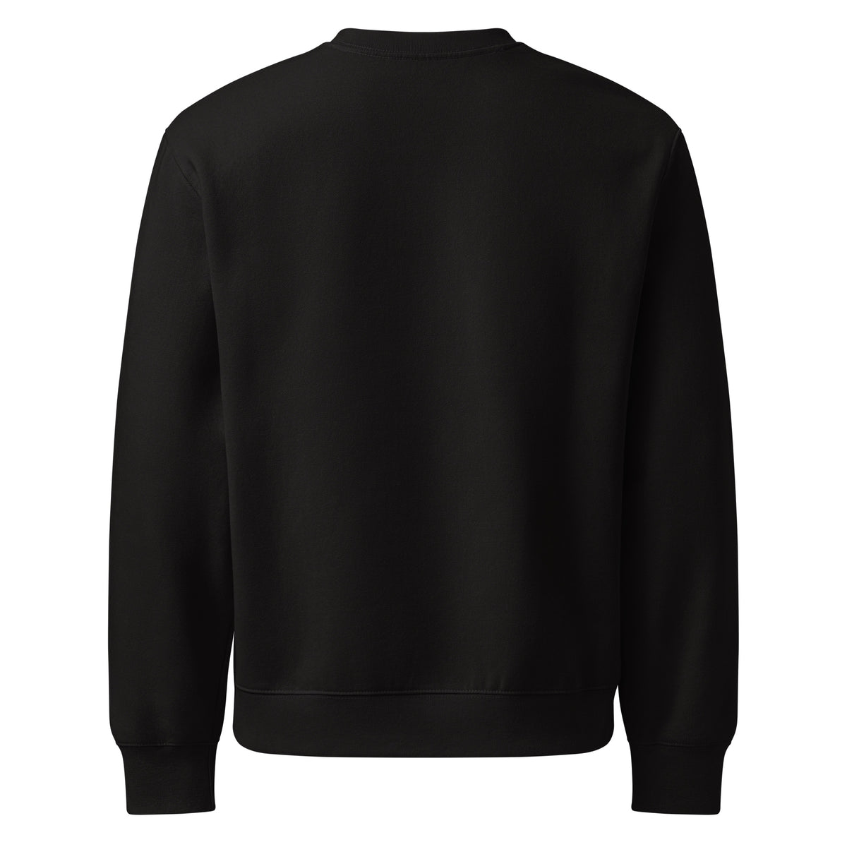 Oversized heavyweight sweatshirt